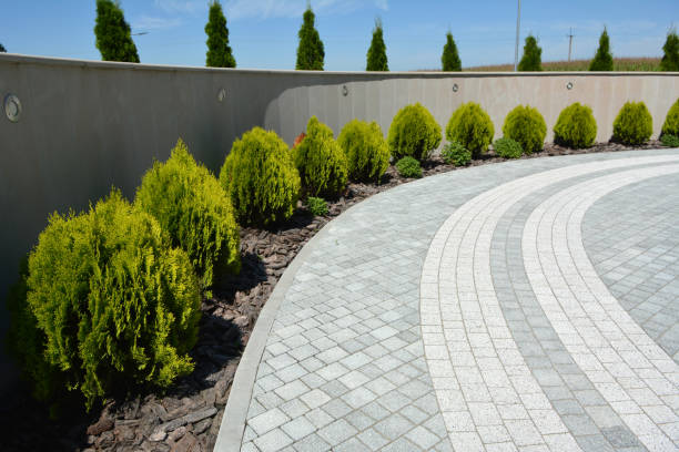 Best Professional Driveway Pavers  in Wadley, GA